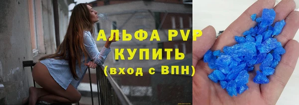 ПСИЛОЦИБИНОВЫЕ ГРИБЫ Вязники