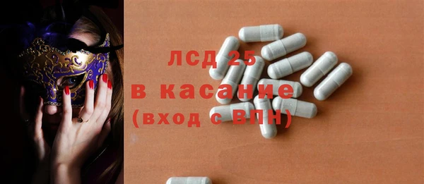 ПСИЛОЦИБИНОВЫЕ ГРИБЫ Вязники
