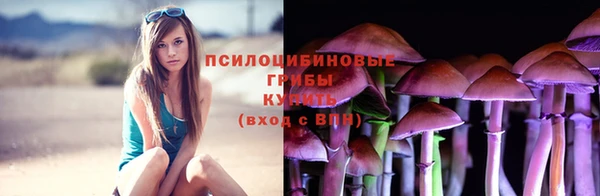 mix Вяземский