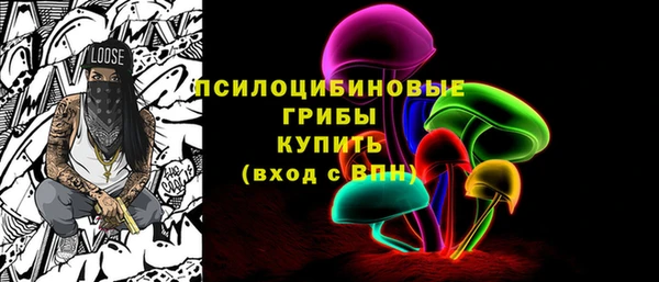 ПСИЛОЦИБИНОВЫЕ ГРИБЫ Вязники