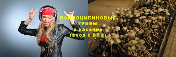 mix Вяземский