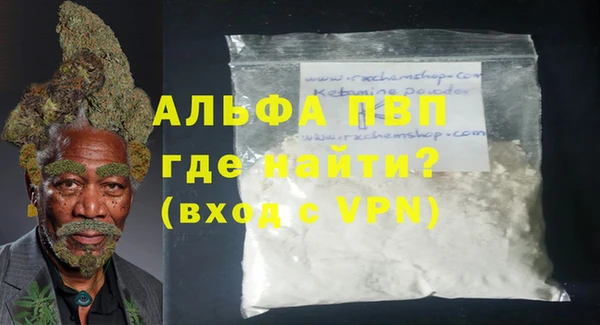 ПСИЛОЦИБИНОВЫЕ ГРИБЫ Вязники