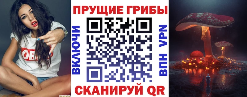 мега ссылка  маркетплейс состав  Галлюциногенные грибы прущие грибы  Пермь 